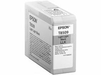 Blckpatron EPSON T850900 l-l-svart